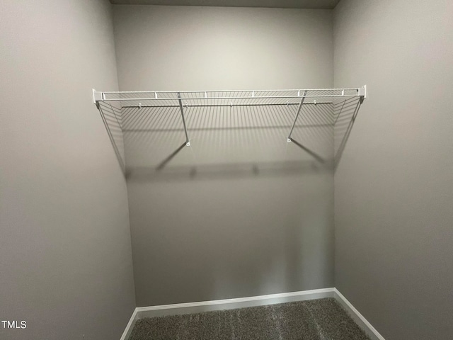 walk in closet with carpet flooring