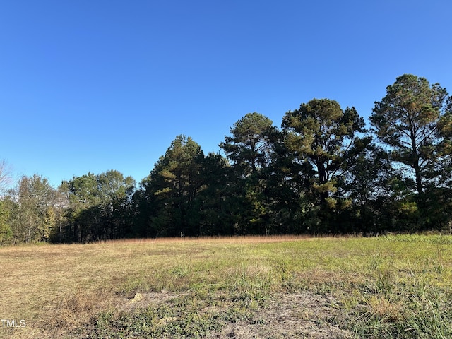 000 Berkshire Rd, Smithfield, NC 27577 - photo 2