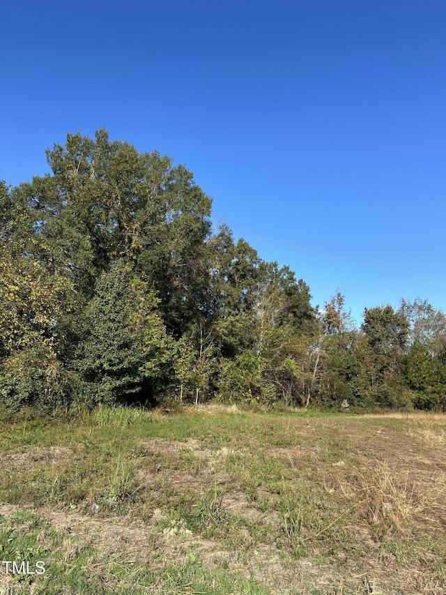 000 Berkshire Rd, Smithfield, NC 27577 - photo 3