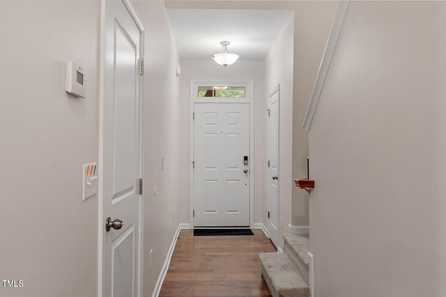 entryway with dark hardwood / wood-style flooring