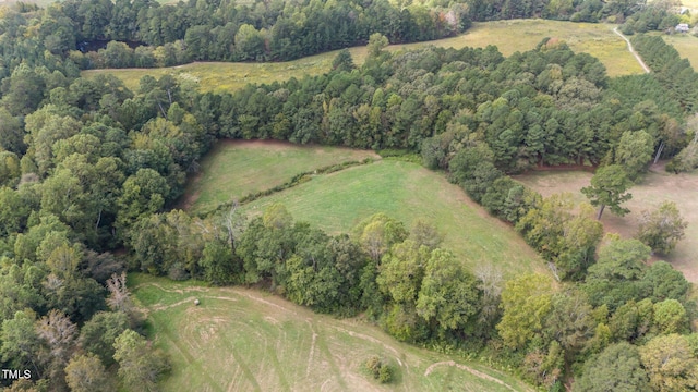 4620 Smithfield Rd, Wendell, NC 27591 - photo 3