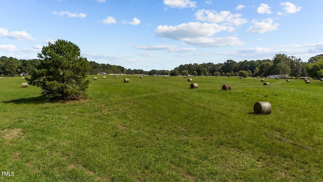 4620 Smithfield Rd, Wendell, NC 27591 - photo 9