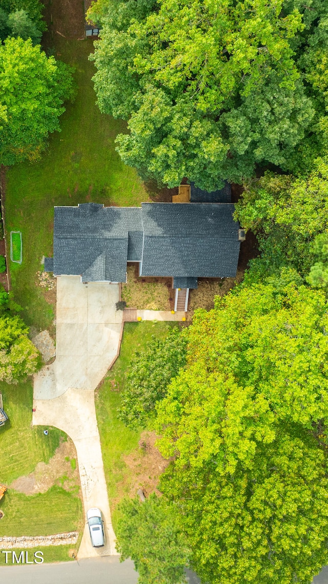 aerial view