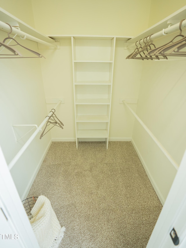 walk in closet with carpet