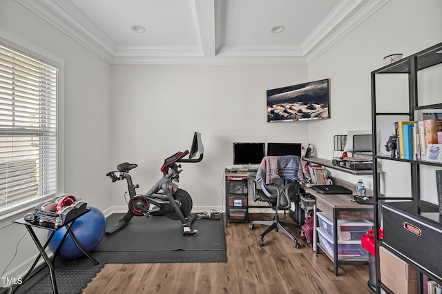 exercise room featuring hardwood / wood-style flooring and crown molding