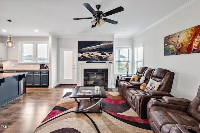 living room featuring light wood-type flooring, a healthy amount of sunlight, ornamental molding, and ceiling fan