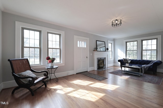 interior space featuring a wealth of natural light, ornamental molding, and wood-type flooring