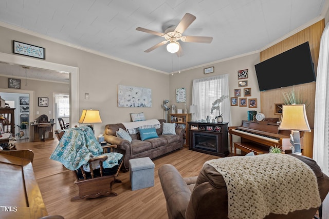 living room with crown molding, ceiling fan, and light hardwood / wood-style flooring