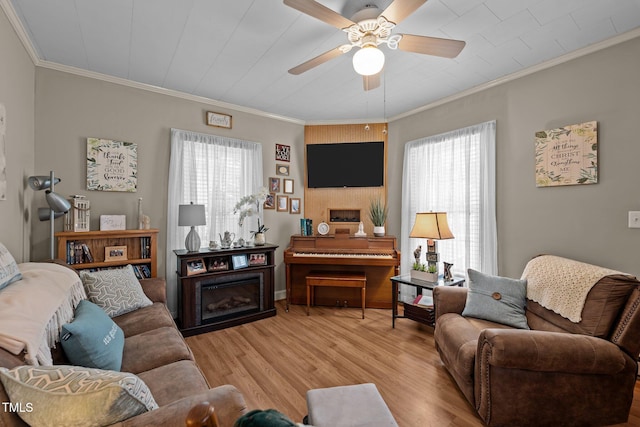 living room featuring ceiling fan, crown molding, and light hardwood / wood-style floors