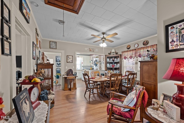 living room featuring ornamental molding, ceiling fan, and light hardwood / wood-style floors