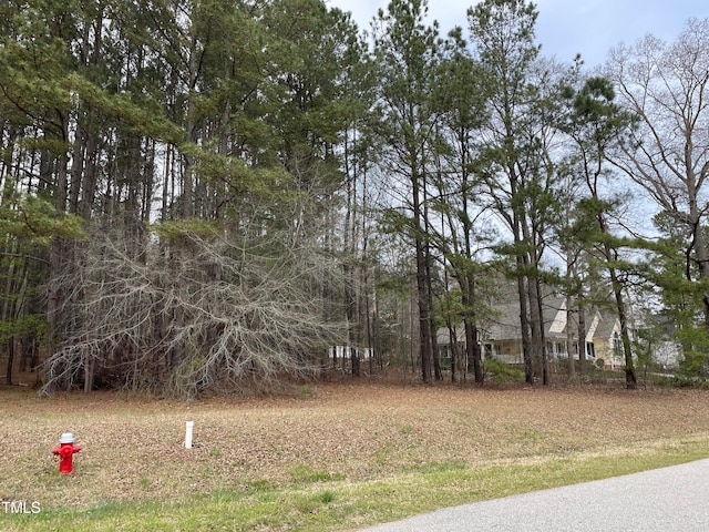 Listing photo 3 for 660 Cross Link Dr, Angier NC 27501