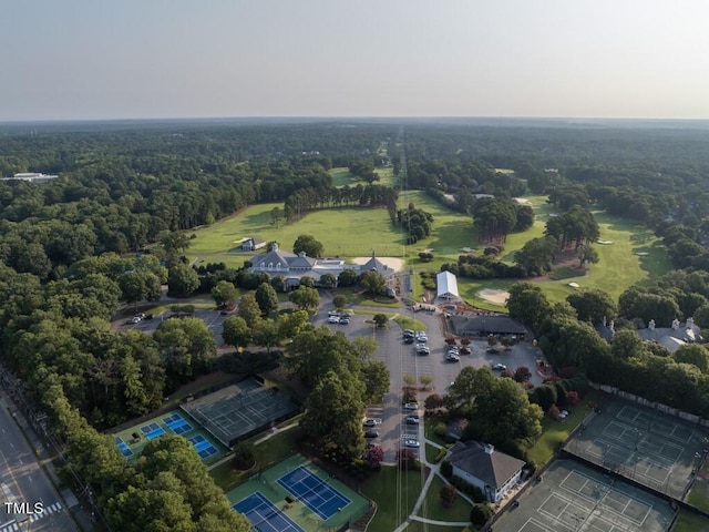 bird's eye view