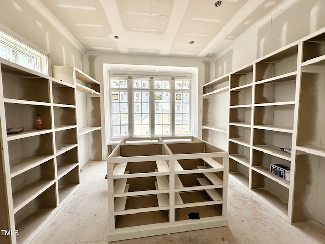 7000 N Ridge Dr, Raleigh, NC 27615 - view of spacious closet