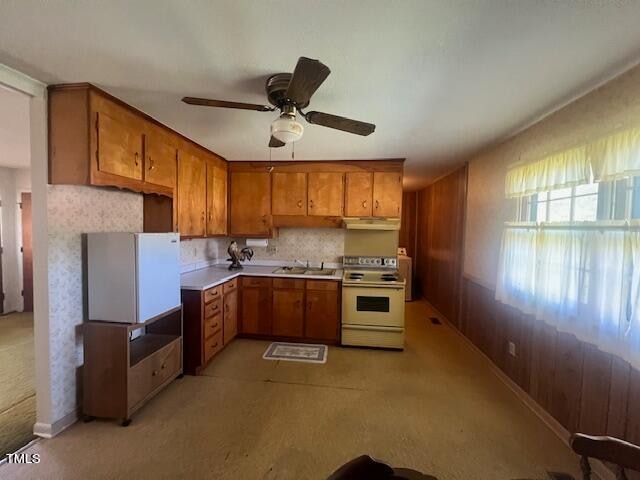 kitchen featuring electric range, sink, wood walls, light colored carpet, and ceiling fan