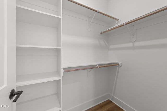 spacious closet featuring hardwood / wood-style floors