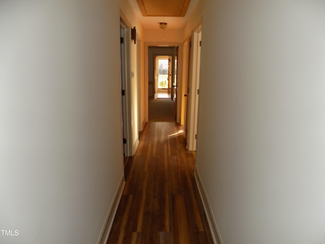 corridor featuring dark hardwood / wood-style flooring