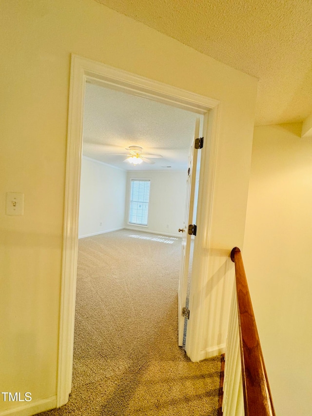 hall featuring carpet and a textured ceiling