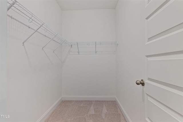 walk in closet featuring light colored carpet