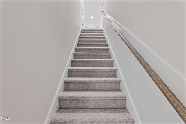 stairway with carpet floors