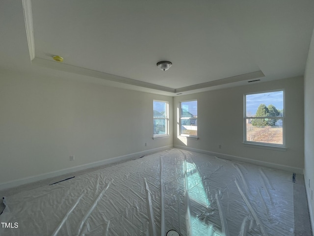 spare room featuring a raised ceiling