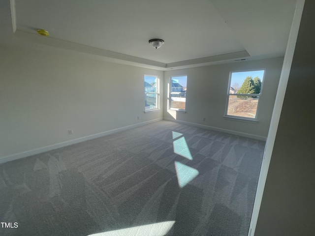 empty room featuring carpet flooring and a raised ceiling