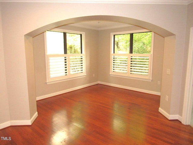 additional living space featuring dark hardwood / wood-style flooring