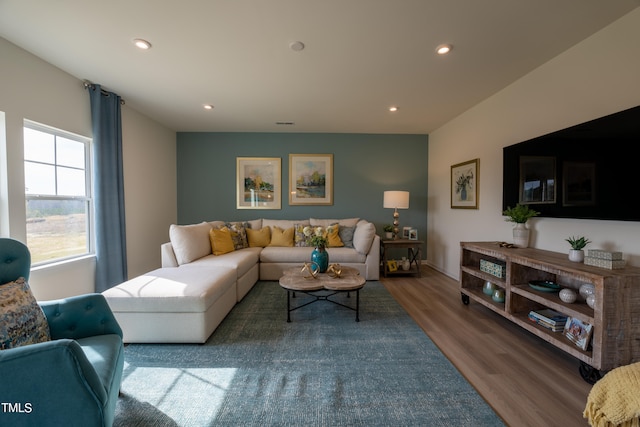 living room featuring wood-type flooring