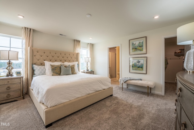 carpeted bedroom with a closet, multiple windows, and a spacious closet