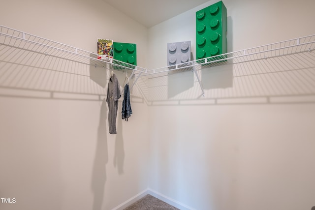 spacious closet featuring carpet