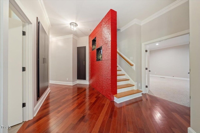 6300 Swallow Cove Ln, Raleigh, NC 27614 - photo 16