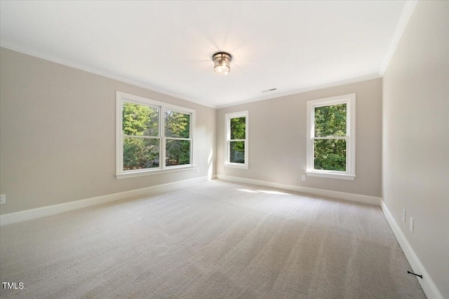 6300 Swallow Cove Ln, Raleigh, NC 27614 - photo 26
