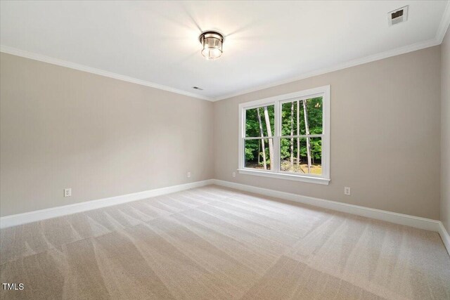 6300 Swallow Cove Ln, Raleigh, NC 27614 - photo 30