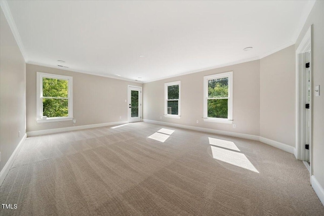 6300 Swallow Cove Ln, Raleigh, NC 27614 - photo 20