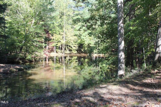 6300 Swallow Cove Ln, Raleigh, NC 27614 - photo 47