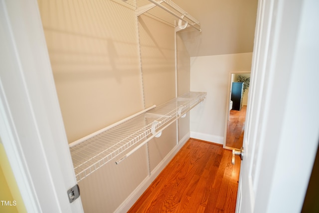 spacious closet featuring wood-type flooring