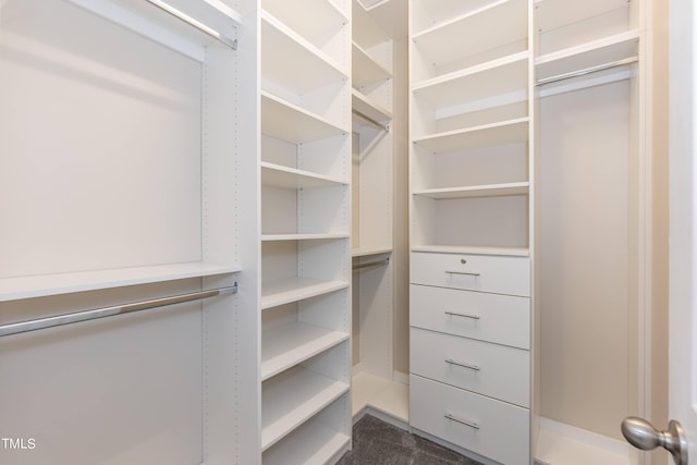 spacious closet with dark carpet