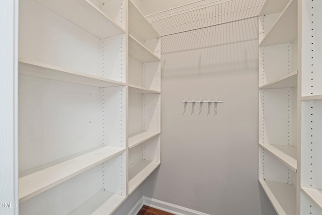 walk in closet with wood-type flooring