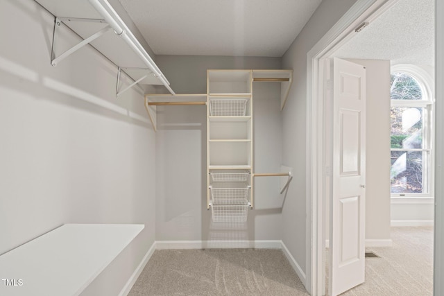 spacious closet with carpet floors