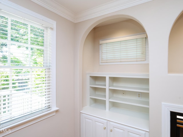 interior details featuring ornamental molding