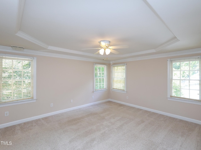 carpeted spare room featuring ceiling fan, a raised ceiling, and ornamental molding