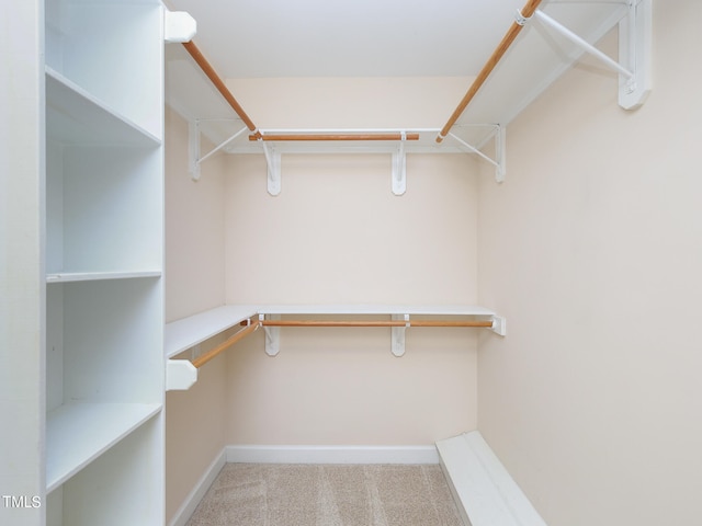 spacious closet featuring light carpet