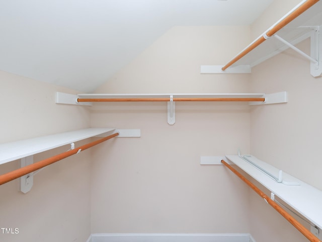 view of spacious closet