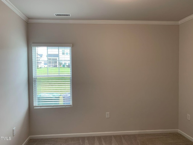 spare room featuring ornamental molding and carpet flooring