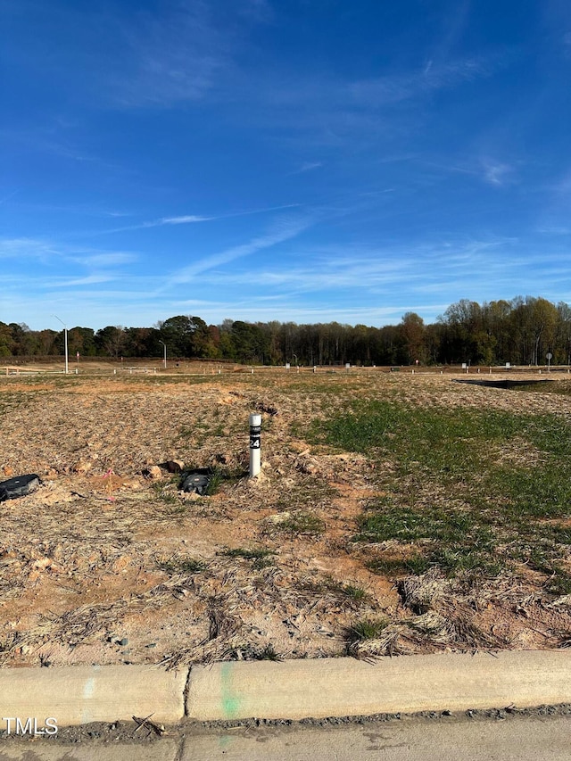 view of yard featuring a rural view