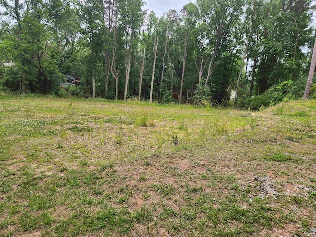 3613B Suffolk St, Durham, NC 27707 - photo 3