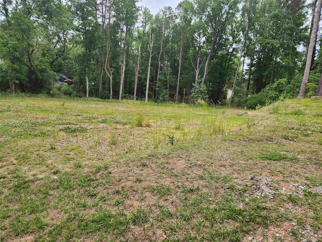 3613B Suffolk St, Durham, NC 27707 - photo 4