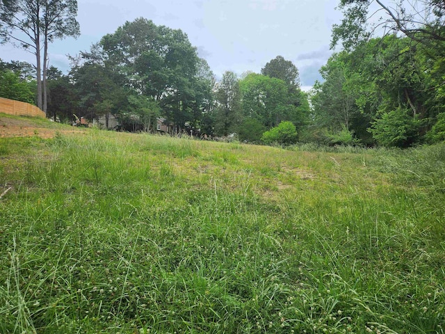 3613B Suffolk St, Durham, NC 27707 - photo 7