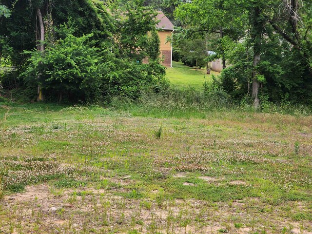 3613B Suffolk St, Durham, NC 27707 - photo 26