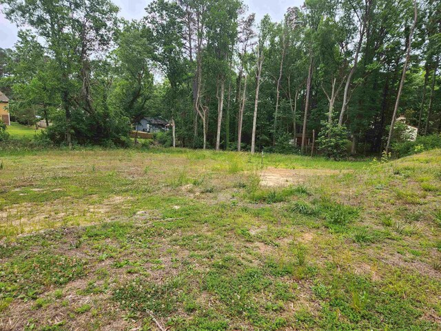 3613B Suffolk St, Durham, NC 27707 - photo 28