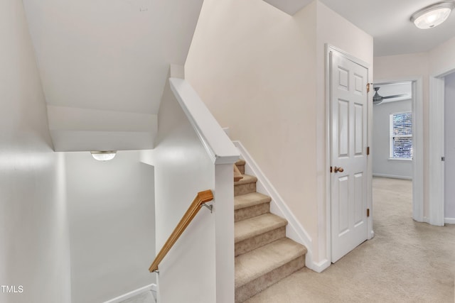 stairway with carpet floors and ceiling fan